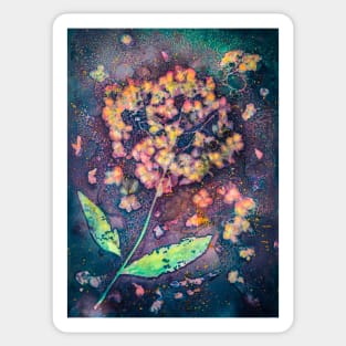 Hydrangea cyanotype Sticker